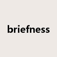 briefness是什么意思