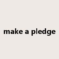 make a pledge是什么意思
