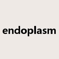 endoplasm是什么意思