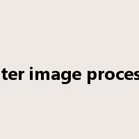 Raster image processor是什么意思