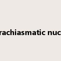 suprachiasmatic nucleus是什么意思