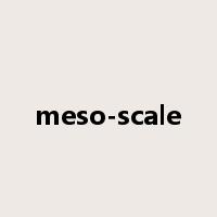 meso-scale是什么意思