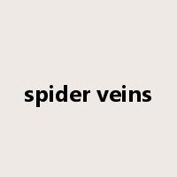 spider veins是什么意思