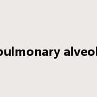 pulmonary alveoli是什么意思