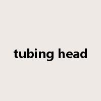 tubing head是什么意思