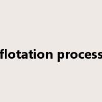 flotation process是什么意思