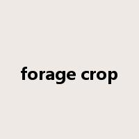 forage crop是什么意思