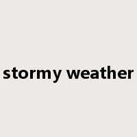 stormy weather是什么意思