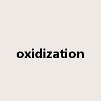 oxidization是什么意思
