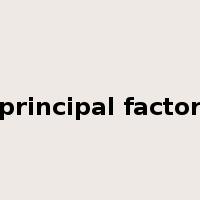 principal factor是什么意思