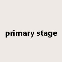 primary stage是什么意思