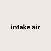 intake air是什么意思