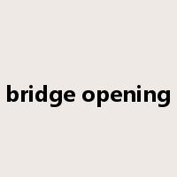 bridge opening是什么意思