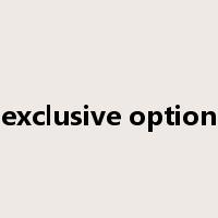 exclusive option是什么意思