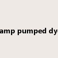 flash lamp pumped dye laser是什么意思