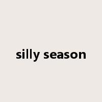 silly season是什么意思