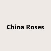 China Roses是什么意思