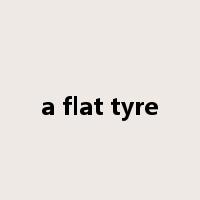 a flat tyre是什么意思