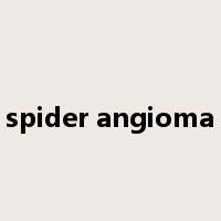 spider angioma是什么意思