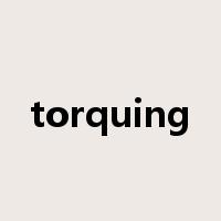 torquing是什么意思