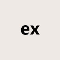 ex是什么意思