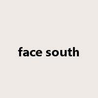 face south是什么意思