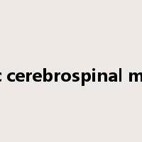 epidemic cerebrospinal meningitis是什么意思