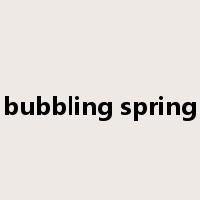 bubbling spring是什么意思