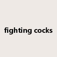 fighting cocks是什么意思