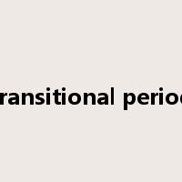 transitional period是什么意思