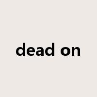 dead on是什么意思