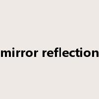 mirror reflection是什么意思