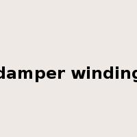 damper winding是什么意思