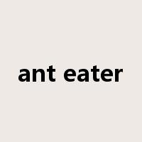 ant eater是什么意思