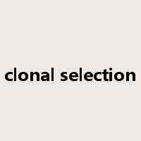 clonal selection是什么意思
