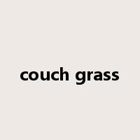 couch grass是什么意思
