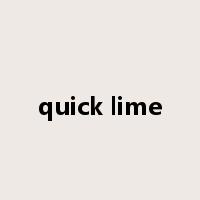 quick lime是什么意思