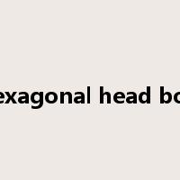 hexagonal head bolt是什么意思