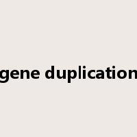 gene duplication是什么意思