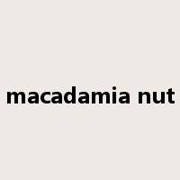 macadamia nut是什么意思