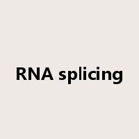 RNA splicing是什么意思