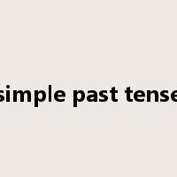 simple past tense是什么意思