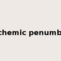 ischemic penumbra是什么意思