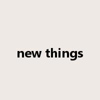 new things是什么意思
