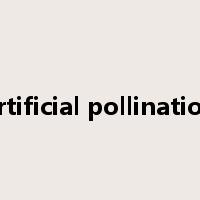 artificial pollination是什么意思