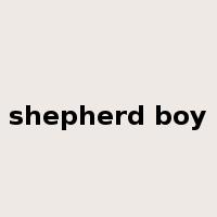 shepherd boy是什么意思