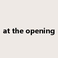 at the opening是什么意思
