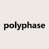 polyphase是什么意思