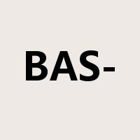 BAS-是什么意思