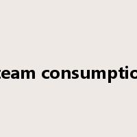 steam consumption是什么意思